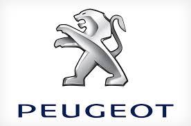 ORIGEN PEUGEOT 13357540 - O:PUERTA DE