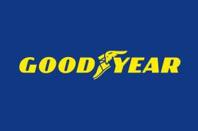 Good Year 0102052950012 - 195/55X16 GYEAR.VECT4SG3 91VXL