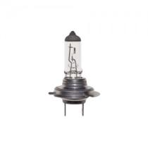 AMOLUX 775 - LAMP HALOG H-7 24V.70W.PX26D