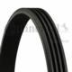 Nertor 4PK698 - ACANALADA