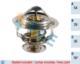 Valeo 5303876 - TERMOSTATOS