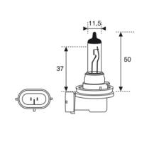 AMOLUX 51 - H-9 12V 65W PGJ19-5