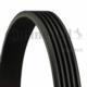 Dayco 5PK1815 - ACANALADA
