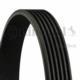 Gates 6PK1460 - ACANALADA