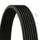 Dayco 7PK1642 - ACANALADA