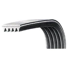 Estriadas dayco 4pk946